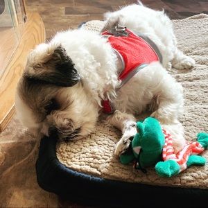 Meet your Posher, Robin